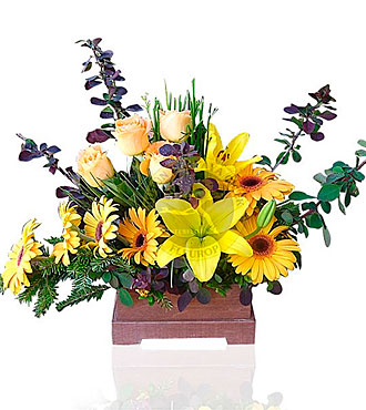 Arrangement of Cut Flower