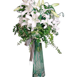 Arrangement of White Lili