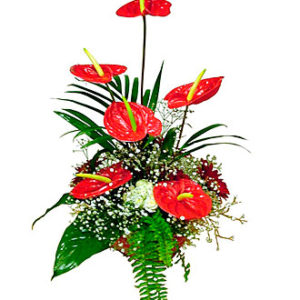 Arrangement of Cut Flower