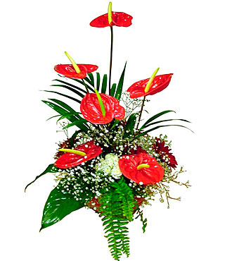 Arrangement of Cut Flower