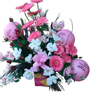Arrangement for New Born