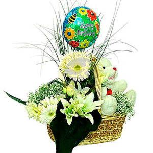 Arrangement for New Born