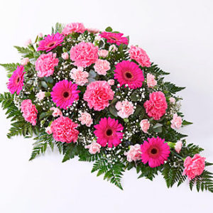 Carns/Germini Spray Pink