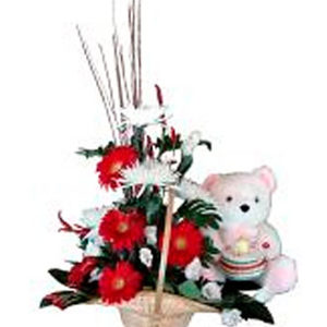 Baby Basket w/Bear