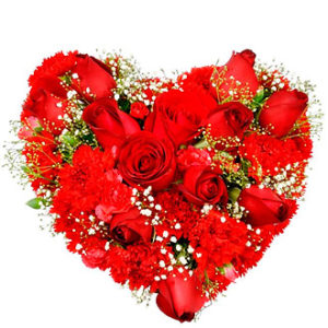 Arrangement of Flowers