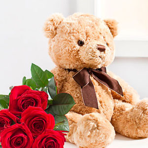 Seven Red Roses and Teddy