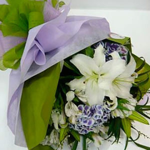 Cut Flowers Purple /White