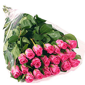Bunch of 20 Stems Pink Ro