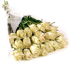 Bunch of 20 Stems White R
