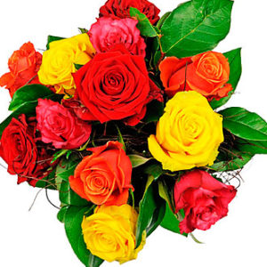 Affection - 12 Mixed Rose