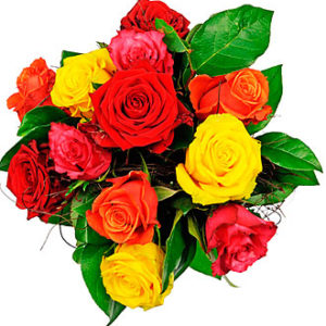 Affection - 12 Mixed Rose