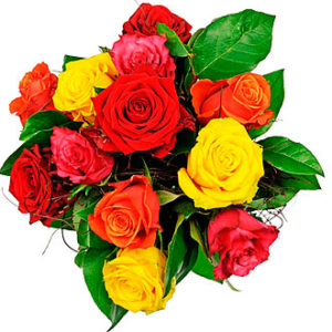 Affection - 12 Mixed Rose