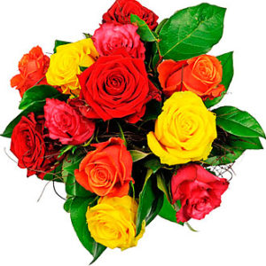 Affection - 12 Mixed Rose