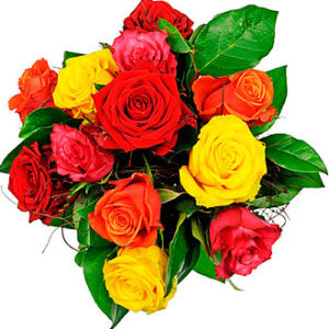 Affection - 12 Mixed Rose
