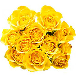 12 Yellow Roses w/o fille