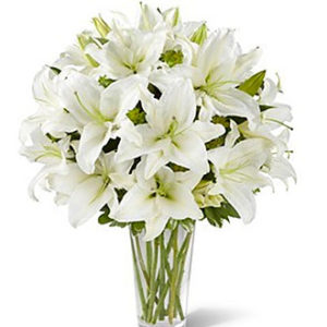 Spirited Grace Lily