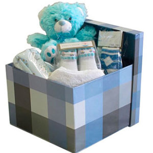 Baby Hamper Blue
