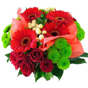 Vibrant Bunch
