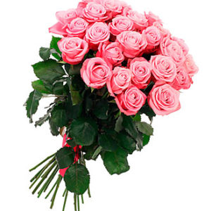 Bunch of 21 Pink Roses