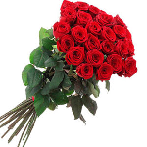 Bunch of 21 Red Roses