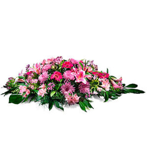 Cushion in Pink Shades