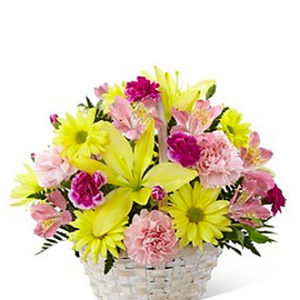 Basket of Cheer
