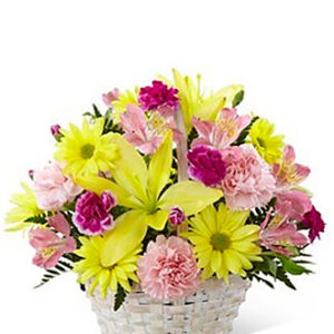 Basket of Cheer