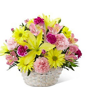 Basket of Cheer