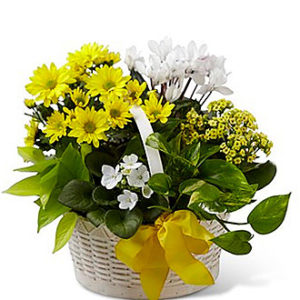Bit of Sunshine Basket