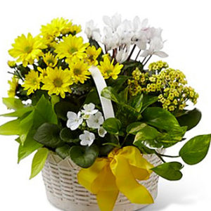 A Bit of Sunshine Basket