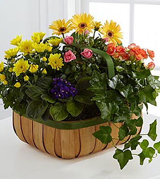 Gentle Blossoms Basket