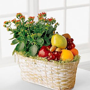 Fruit and Flowers
