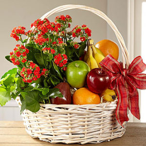 Gardens Paradise Basket