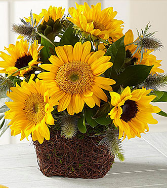 Perfect Sun Bouquet Exqui