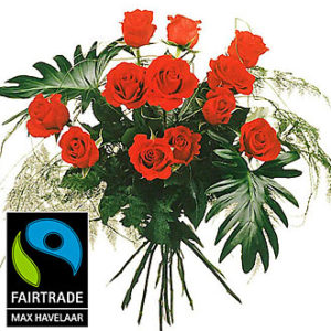 12 Red Max Havelaar Roses
