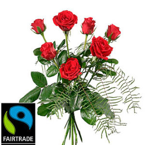 Red Max Havelaar-Roses