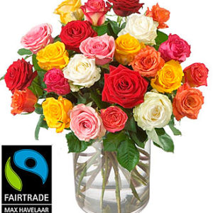 24 Red Max Havelaar Roses