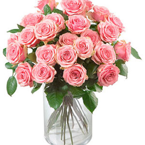 24 Pink Roses