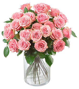 24 Pink Roses