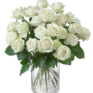 24 White Roses