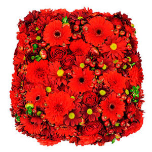 Devotion Arrangement