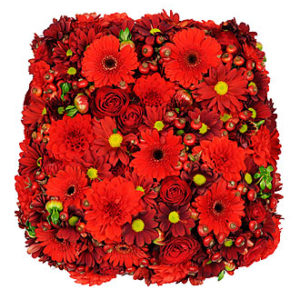 Devotion Arrangement