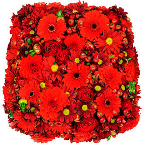 Devotion Arrangement