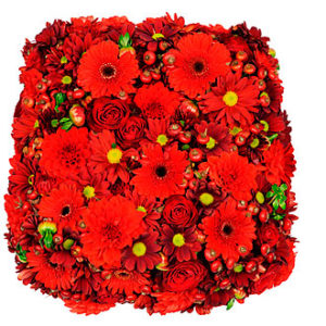 Devotion Arrangement