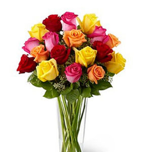 Bright Spark Rose
