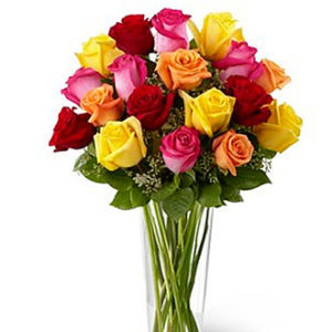 Bright Spark Rose