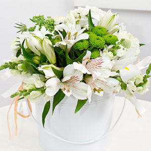 White Dream