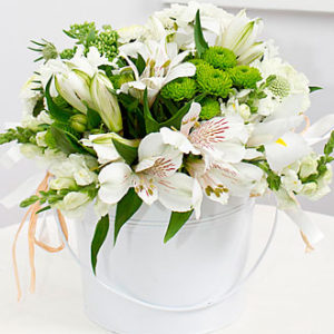 White Dream