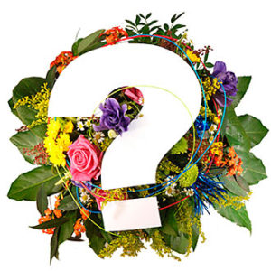 Seasonal Bouquet Happy Bi