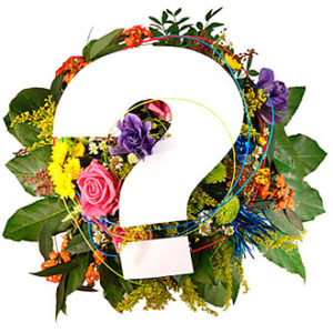 Seasonal Bouquet Happy Bi